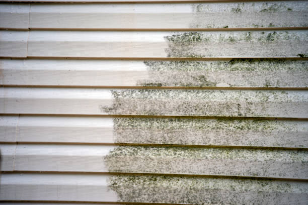 Storm Damage Siding Repair in Fowlerville, MI