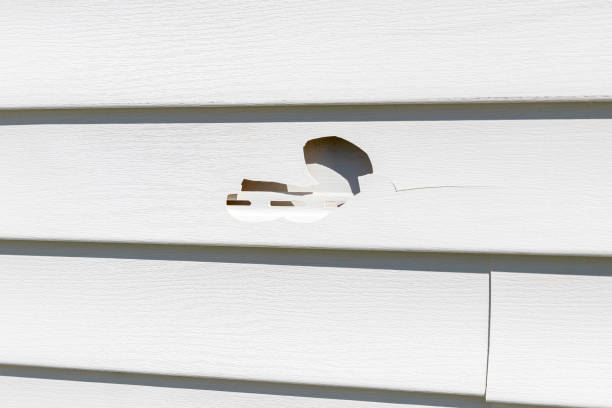 Best Stucco Siding  in Fowlerville, MI
