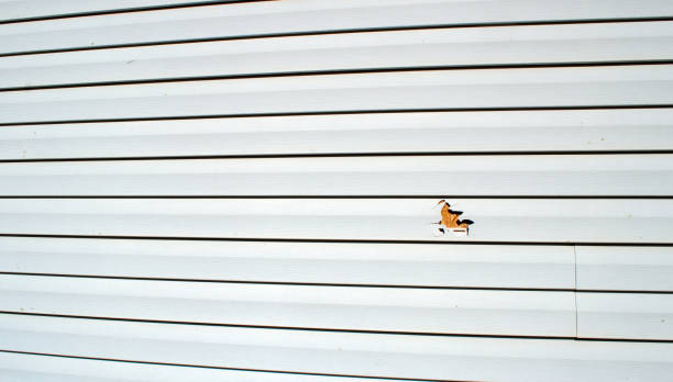Best Historical Building Siding Restoration  in Fowlerville, MI