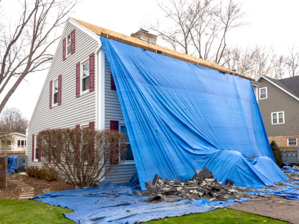 Best Custom Trim and Detailing for Siding  in Fowlerville, MI