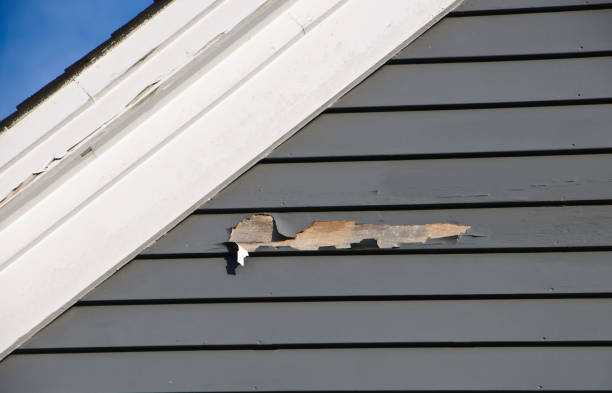 Best James Hardie Siding  in Fowlerville, MI